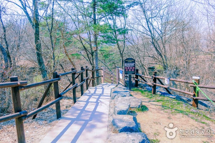 두루누비_반려견과 함께 걷기 좋은 길 '한탄강 주상절리길  01코스 구리이길'_12