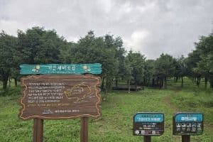 거슨세미(세미오름, 샘오름)_e (2)