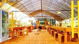 영월_슬로우캠프 (10)