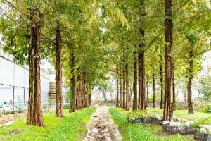 아산_세계꽃식물원 (5)