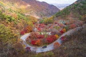 단양 보발재 (3) 