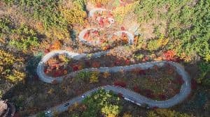 단양 보발재 (4) 
