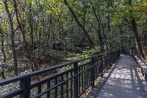 서울_봉화산(서울) (4)