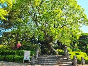 서귀포_일출랜드 (11)