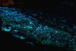 울주_명선도 (7)