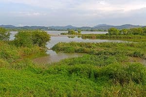 바람개비 마을 (6)