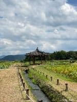 경주_경주 서출지 (1)