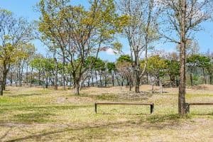 경주_신라왕경숲 (5)