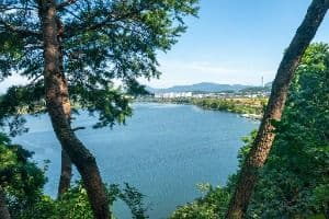 충주_충주 탄금대와 탄금대공원 (7)