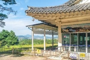 충주_충주 탄금대와 탄금대공원 (3)