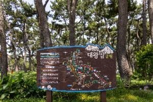 대왕암공원 (3)