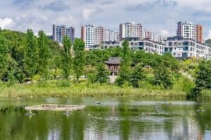 화성_선납숲공원 (6)