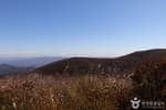 고헌산(울산) (17)