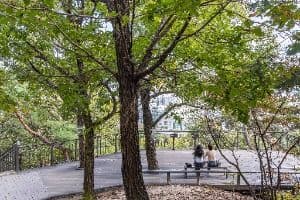 서울_봉화산(서울) (12)