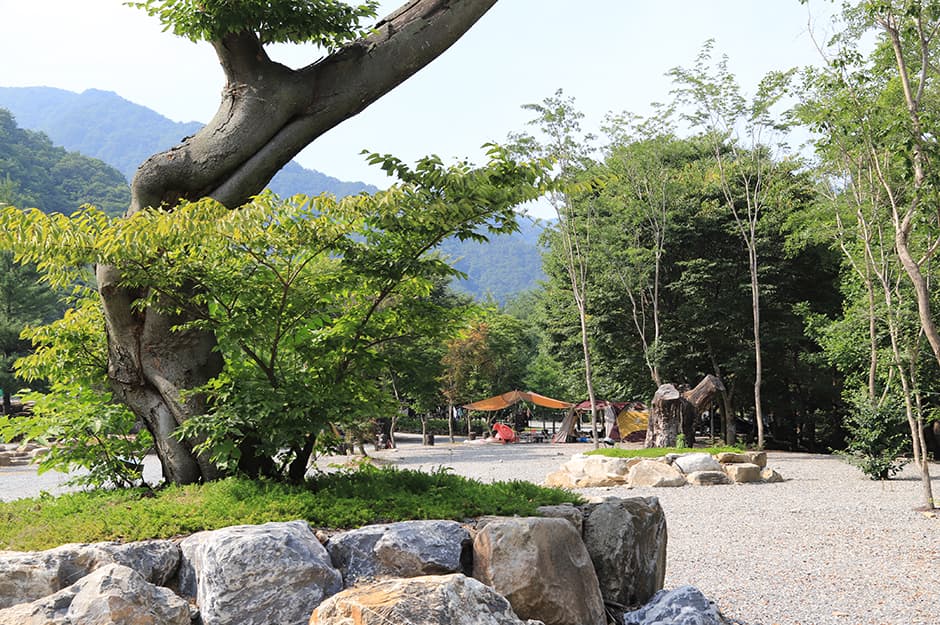 산여울캠프장_전경2