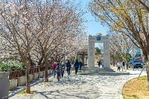 부산_문탠로드 (1)