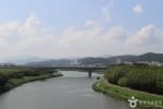 태화강 국가정원 (7)