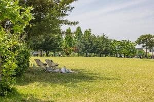 청주_문암생태공원 (7)