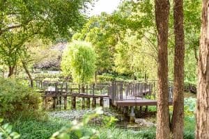서울_온수도시자연공원(잣절공원) (1)