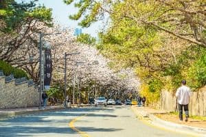 부산_문탠로드 (3)