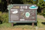 제주_금오름 (1)