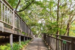 서울_온수도시자연공원(잣절공원) (3)