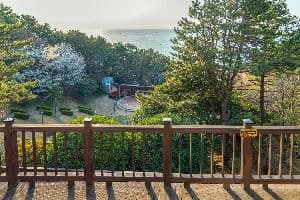 부산_문탠로드 (5)