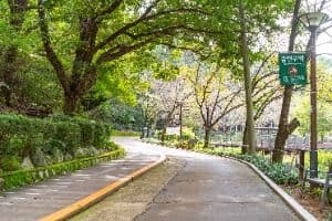 서울_온수도시자연공원(잣절공원) (4)