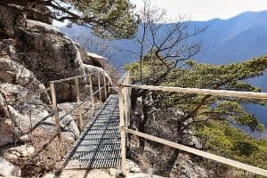 밀양_가지산도립공원 (4)