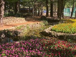 화천_붕어섬 (1)