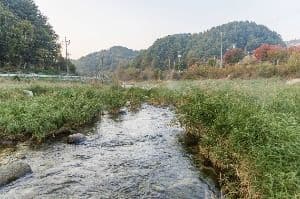 가평_조종천계곡 (3)