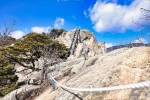 밀양_가지산도립공원 (5)