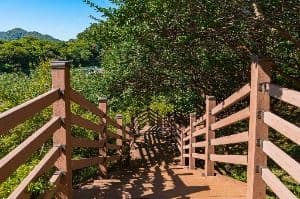 전주_완산칠봉(완산공원) (4)