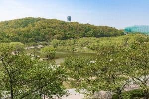 서울_북서울꿈의숲 (2)