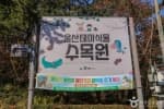 울산테마식물수목원 (2)