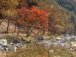 김삿갓 계곡