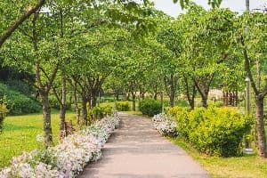 서울_용산가족공원 (2)