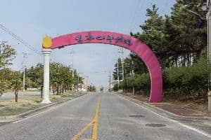 신안_임자도 (8)