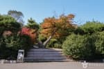 울산테마식물수목원 (16)