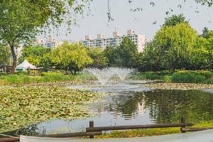 서울_용산가족공원 (3)