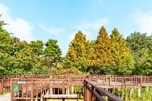 서울_푸른수목원 (1)