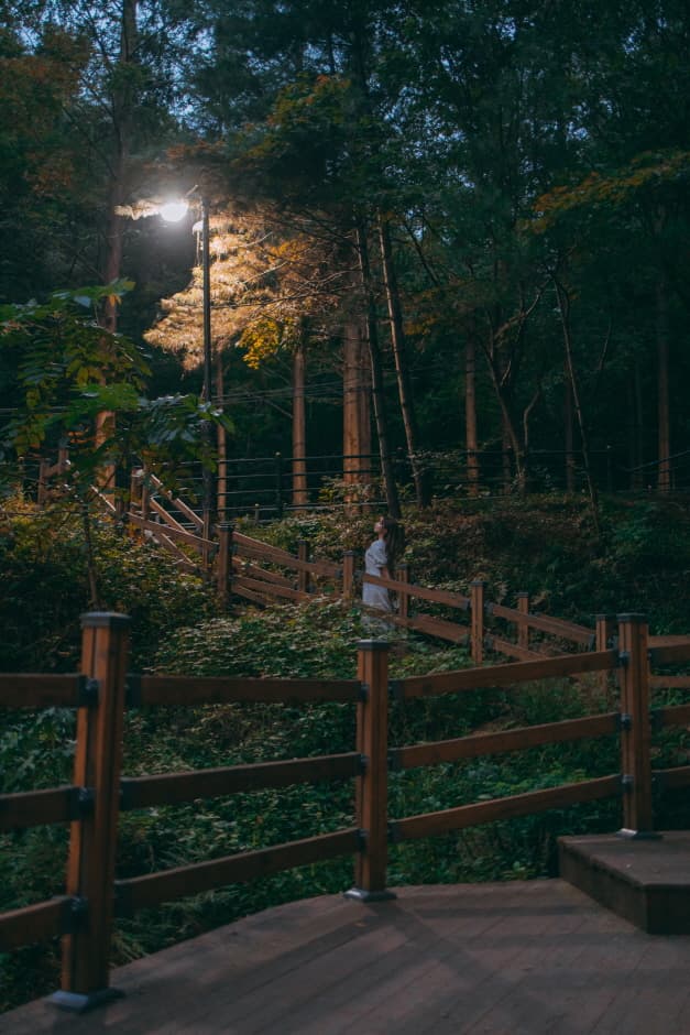 보문산공원 (3)