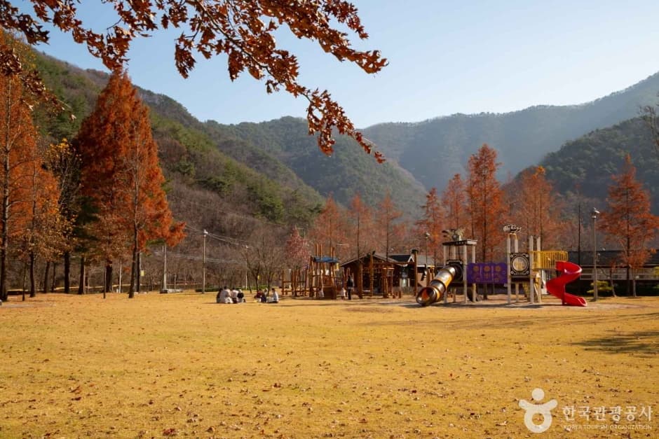 상소동 산림욕장 (1)