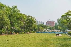 서울_용산가족공원 (7)