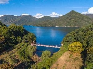 충주_충주호 종댕이길 (5)