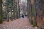 상소동 산림욕장 (7)