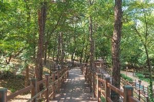 이천_이천온천공원 (6)
