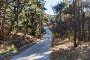 포항_곤륜산 활공장 (6)