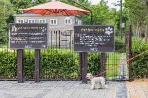 인천_인천대공원 반려동물 놀이터 (6)