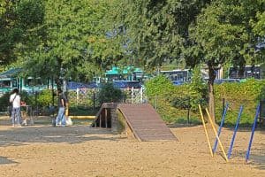 광교호수공원 반려견 놀이터 (7)